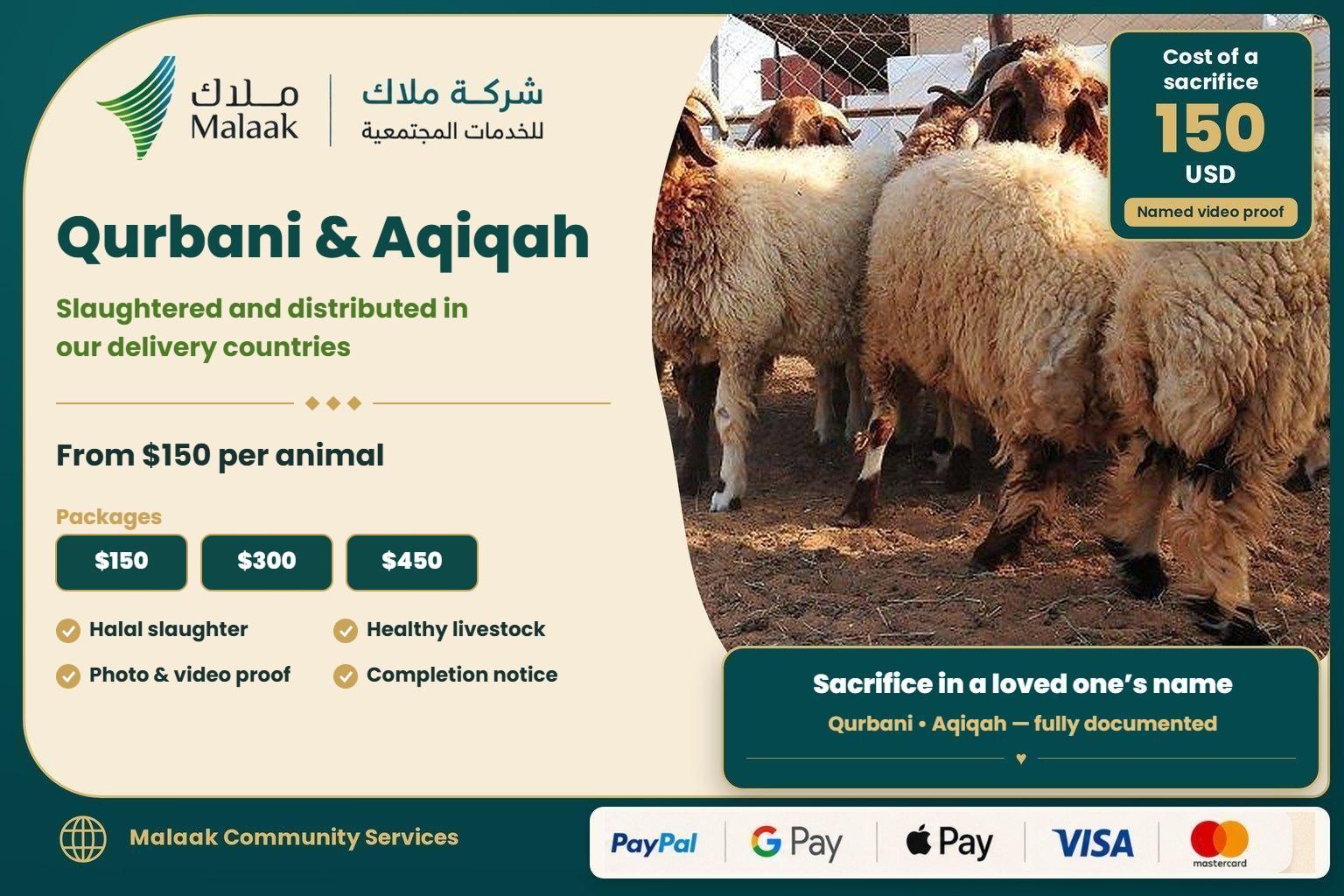 🐑 Qurbani & Aqeeqah Service